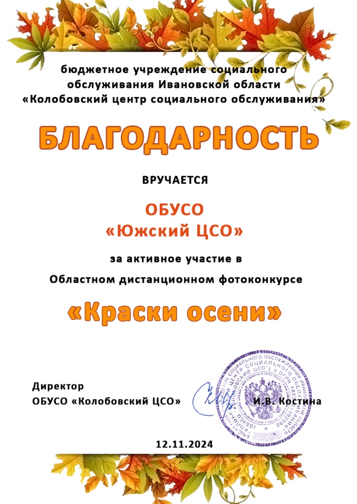 Южский ЦСО благодарность учреждению.jpg