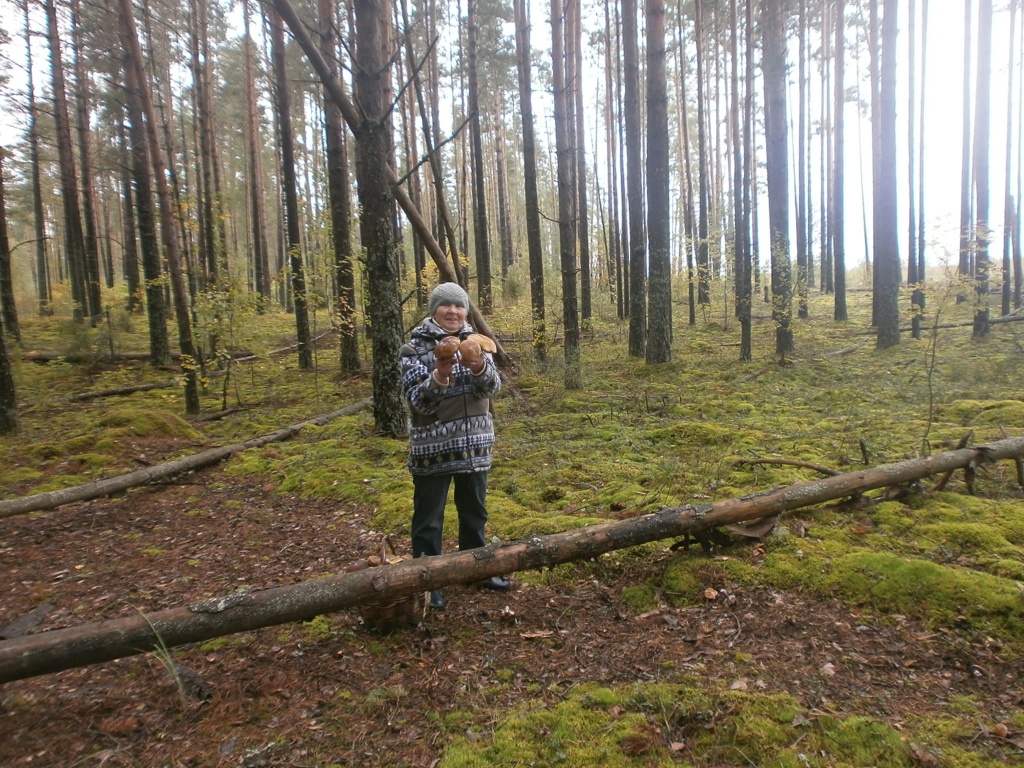 P9216740.JPG P9216740.JPG