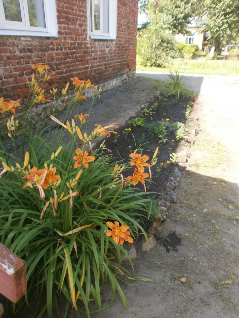 P7288653.JPG