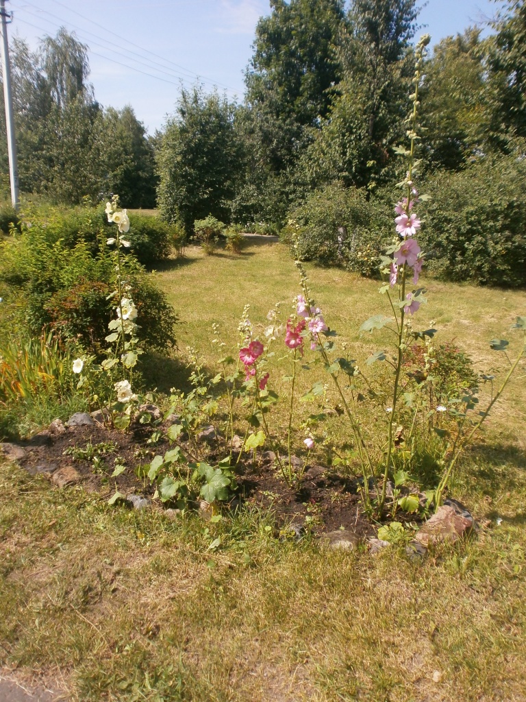 P7288658.JPG
