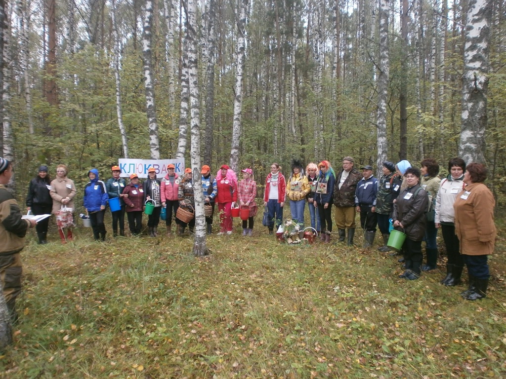 P9096660.JPG P9096660.JPG