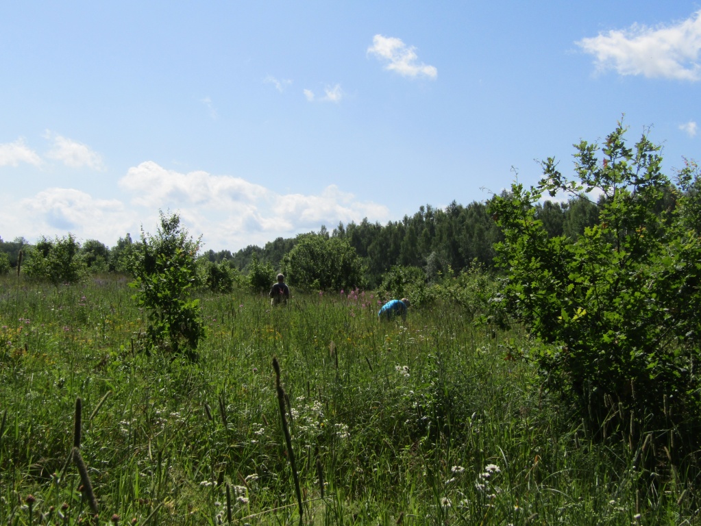 IMG_1478.JPG