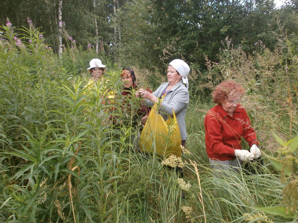 P8098724.JPG